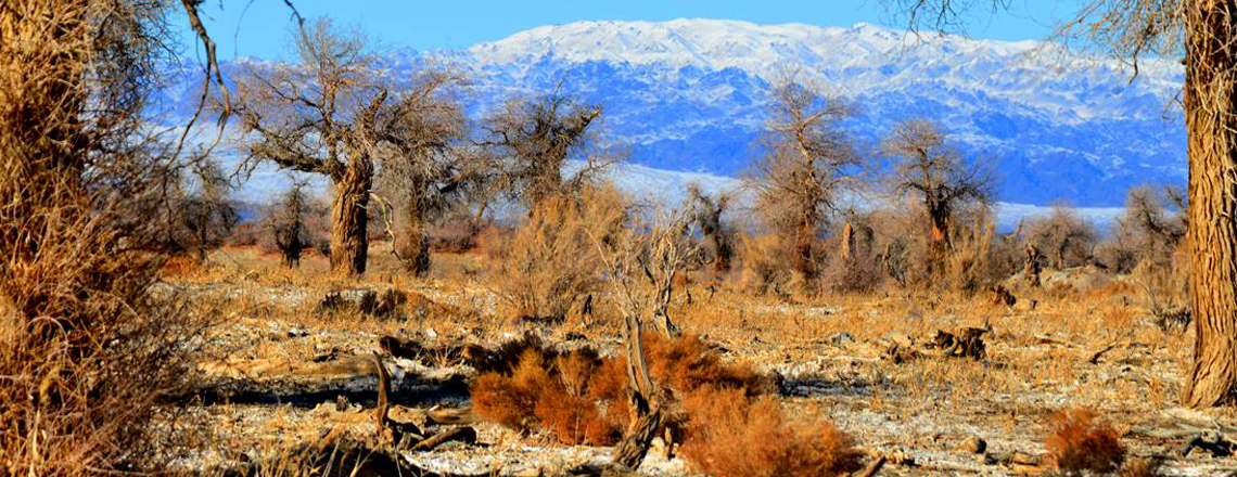 Захуйн Баянбүрд